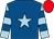 ROYAL BLUE, LIGHT BLUE star, LIGHT BLUE and ROYAL BLUE hooped sleeves, RED cap (Mrs Wendy Burdett)