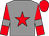 GREY, RED star, RED sleeves, GREY armlets, RED cap (Mr Ambrose Turnbull)