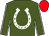 Forest green, white horseshoe, white seams on sleeves, red cap (Mr Jon S Kelly)
