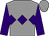 Grey, purple triple diamond and sleeves (Mtj Racing)