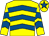 Yellow & royal blue chevrons, royal blue star on cap (Coylemore Limited)