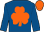 Royal blue, orange shamrock, royal blue sleeves, orange cap (Mrs A C Gerber)