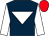 Dark blue, white inverted triangle and sleeves, red cap (Mr Pieter Van Belle)