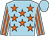 Light blue, orange stars, striped sleeves, light blue cap (Mrs P Reynolds)