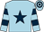 Light blue, dark blue star, hooped sleeves and cap (Mr Terry Smith)