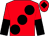 Red, large black spots, halved sleeves and diamond on cap (Mr S Petty & Partner)