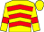 Yellow, red chevrons and armlets (Mrs Kate Digweed)