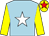 Light blue, white star, yellow sleeves, yellow cap, red star (The Carlton Club)