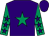 Purple, emerald green star, emerald green sleeves, purple stars, purple cap (Jeremiah O'Connell)