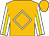 Old gold, white diamond frame, gold stripe on white sleeves (Gary Tussey)