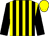 Black and yellow stripes, black sleeves, yellow cap (Mr Austin Whelan)