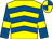 Yellow, royal blue chevrons, royal blue sleeves, yellow armlets, yellow and royal blue quartered cap (Mrs John Lee, Alf Heaney, Alec Tuckerm)