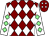 Maroon and white diamonds, white sleeves, light green diamonds (Rasio Cymru Racing 1 & Partner)