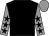 Black, grey sleeves, black stars, grey cap (Rebel Racing Iii)