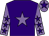Purple, mauve star, mauve sleeves, purple stars, mauve cap, purple star (The Pride Of Sussex Partnership)