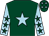 Dark green, light blue star, light blue sleeves, dark green stars, dark green cap, light blue stars (The Dream Big Syndicate)