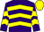 Purple, yellow chevrons, yellow cap (Mrs B C Ansell)