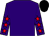 Purple, red stars on sleeves, black cap (Nsu Leisure & Mrs Carolyn Seymour)