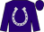 Purple, silver horseshoe, purple cap (J Turner)