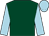 Dark green, light blue sleeves and cap (Mike And Michelle Morris)