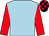 Pale blue, red sleeves, black and red check cap (Mr W G Young)