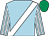 Light blue, white sash, striped sleeves, emerald green cap (Mr James Kerr)