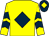 Yellow, dark blue diamond, chevrons on sleeves, dark blue cap, yellow diamond (2 Counties Racing)