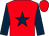 Red, dark blue star and sleeves (Mr S G Martin)