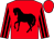 Red, black horse, red sleeves, black stripes, red cap, black tassel (Mr J Turner)