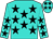 Turquoise, Black Stars (Tommy Hutton's Dream Stable LLC)