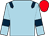 light blue, dark blue epaulets and armlets, red cap (Ecurie Jean-pierre Micholet)