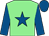Light green, royal blue star & sleeves, royal blue cap (Slattery Bloodstock Limited)