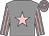 Grey, pink star, striped sleeves, hooped cap (The Unnamed Favourites)