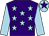 Purple, light blue stars and sleeves, light blue cap, purple star (Team Dunn)