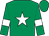 Emerald green, white star and armlets (The Macaroni Beach Society)