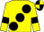 Yellow, large black spots and armlets, black and yellow quartered cap (Baker, Dodd, Cooke & Heler)