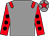 Grey, red epaulets, red sleeves, black spots, grey cap, red star (David Bishop & Tony Coyle)
