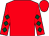Red, dark green diamonds on sleeves (Mrs David Johnson)