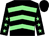 Black & light green chevrons, light green stars on sleeves, black cap (Peter A Leidel)