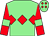 Light green, red triple diamond, red sleeves, light green armlets, light green cap, red diamonds (Allison Grant Long & Partner)