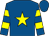 Royal blue, yellow star, hooped sleeves (Mr A C R Stubbs Racing)