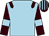 Light blue, brown epaulets, brown sleeves, light blue armlets, striped cap (Mr Stephen Louch)