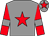 Grey, red star on body and cap, red sleeves, grey armlets (Mr Ambrose Turnbull)