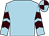 Light blue, brown chevrons on sleeves, quartered cap (Mrs N Unsworth)