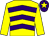 Yellow & purple chevrons, yellow sleeves, purple cap, yellow star (Mrs Shauna Kelly)