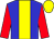 Blue body, yellow stripe, red arms, yellow cap (R Baguenault De Puchesse)