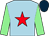 Light blue, red star, light green sleeves, dark blue cap (Mr L C Wadey)