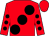 Red, large black spots, black spots on sleeves, red cap (Michael Joseph O'Brien)