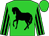 Lime green, black horse, lime green sleeves, black stripes, lime green cap (J Turner)