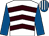 White, brown chevrons, royal blue sleeves, royal blue and white striped cap (Jolly Boys Outing)